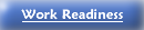 Work Readiness Publications
